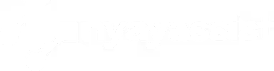 Nyay Assist logo